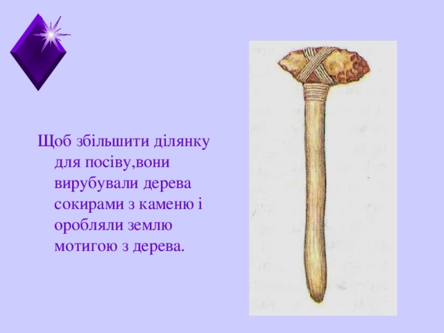 Щоб збільшити ділянку для посіву,вони вирубували дерева сокирами з каменю і оробляли землю мотигою з дерева. 