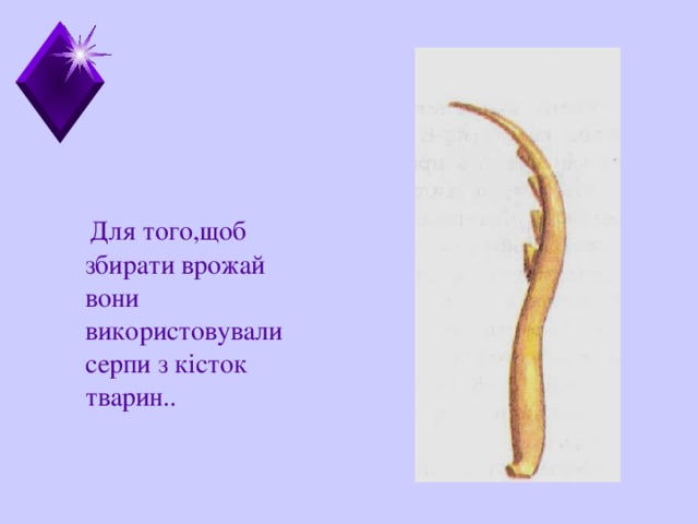  Для того,щоб збирати врожай вони використовували серпи з к істок тварин. . 