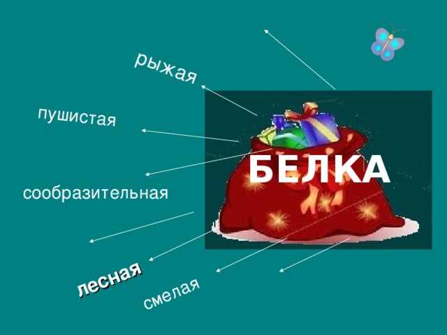 пушистая рыжая смелая лесная БЕЛКА 