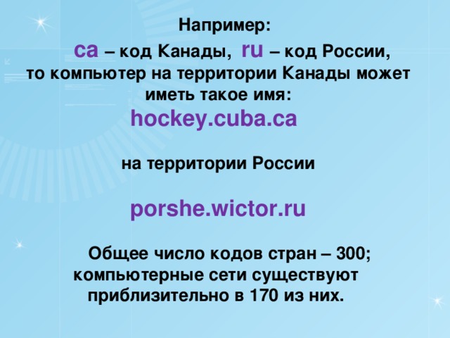 Например:  ca – код Канады, ru  – код России,  то компьютер на территории Канады может иметь такое имя:  hockey.cuba.ca   на территории России  porshe.wictor.ru   Общее число кодов стран – 300; компьютерные сети существуют  приблизительно в 170 из них. 