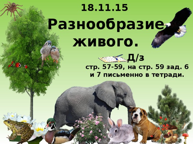 18.11.15 Разнообразие живого. Д/з стр. 57-59, на стр. 59 зад. 6 и 7 письменно в тетради. 3 