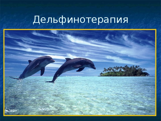 Дельфинотерапия 