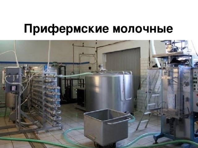 Прифермские молочные 