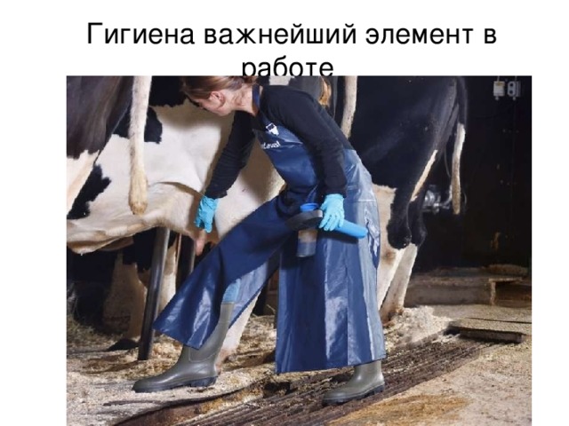 Гигиена важнейший элемент в работе 