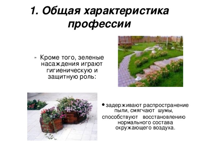 1. Общая характеристика профессии Кроме того, зеленые насаждения играют гигиеническую и защитную роль: Кроме того, зеленые насаждения играют гигиеническую и защитную роль: Кроме того, зеленые насаждения играют гигиеническую и защитную роль: Кроме того, зеленые насаждения играют гигиеническую и защитную роль: Кроме того, зеленые насаждения играют гигиеническую и защитную роль: задерживают распространение пыли, смягчают  шумы,  задерживают распространение пыли, смягчают  шумы,  задерживают распространение пыли, смягчают  шумы,  задерживают распространение пыли, смягчают  шумы,  задерживают распространение пыли, смягчают  шумы,  способствуют   восстановлению   нормального состава окружающего воздуха. способствуют   восстановлению   нормального состава окружающего воздуха. способствуют   восстановлению   нормального состава окружающего воздуха. способствуют   восстановлению   нормального состава окружающего воздуха. способствуют   восстановлению   нормального состава окружающего воздуха. 