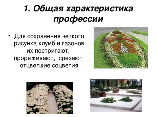 1. Общая характеристика профессии Для сохранения четкого рисунка клумб и газонов их постригают,  прореживают,  срезают  отцветшие соцветия  