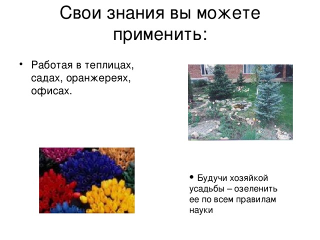 Свои знания вы можете применить:   Работая в теплицах, садах, оранжереях, офисах.   Будучи хозяйкой усадьбы – озеленить ее по всем правилам науки  Будучи хозяйкой усадьбы – озеленить ее по всем правилам науки 