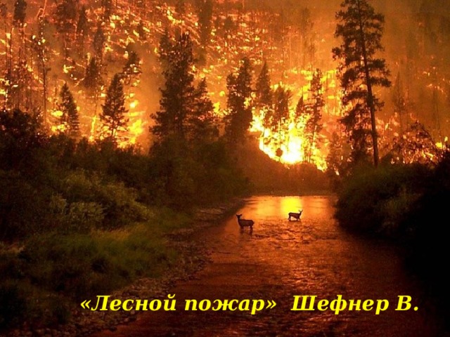 «Лесной пожар» Шефнер В. 