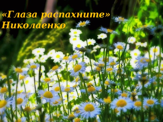 «Глаза распахните» Николаенко 