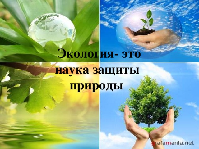  Экология- это наука защиты природы . 