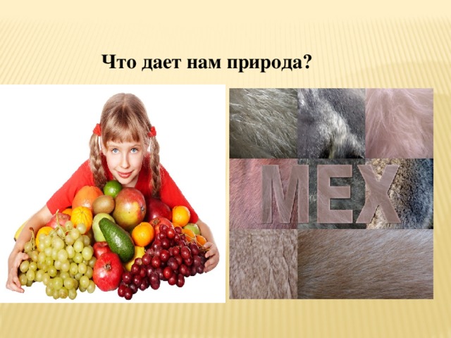  Что дает нам природа? 