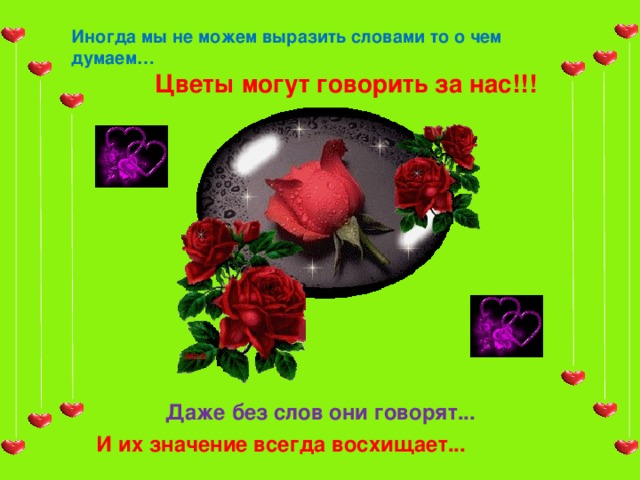 Иногда мы не можем выразить словами то о чем думаем … Цветы могут говорить за нас !!! Даже без слов они говорят ... И их значение всегда восхищает ... 