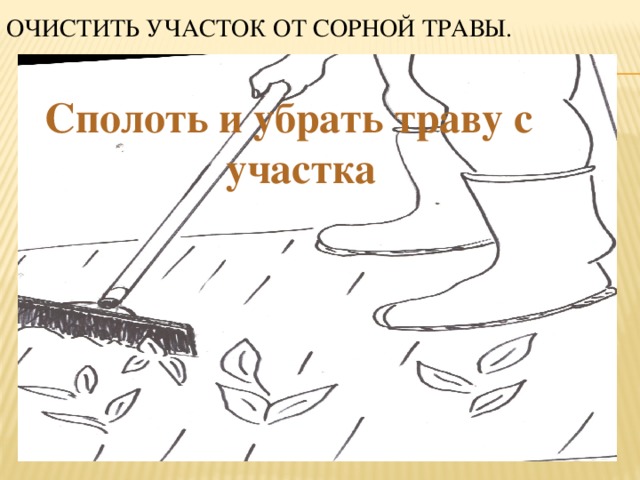 Как удалить траву с одежды. Как удалить траву с одежды