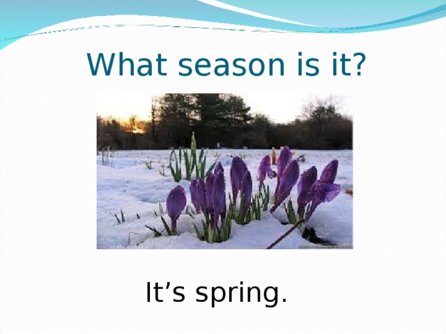 What season is it? It’s spring. 