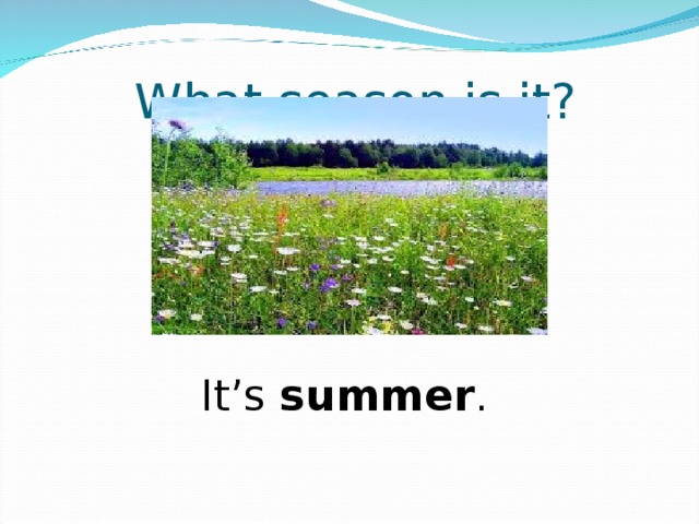 What season is it? It’s summer . 