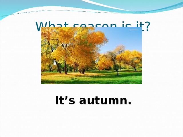 What season is it? It’s autumn. 