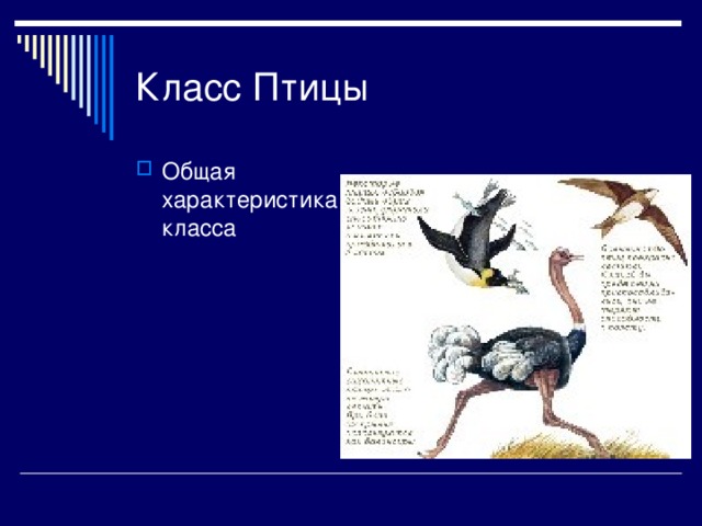 Охарактеризуйте отличительные черты двух систематических групп класса птицы используя рисунки