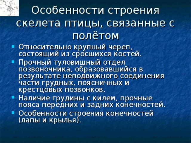 Особенности строения скелета птицы, связанные с полётом Относительно крупный череп, состоящий из сросшихся костей. Прочный туловищный отдел позвоночника, образовавшийся в результате неподвижного соединения части грудных, поясничных и крестцовых позвонков. Наличие грудины с килем, прочные пояса передних и задних конечностей. Особенности строения конечностей (лапы и крылья). 