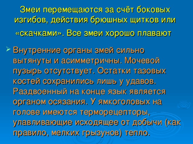 Змеи перемещаются за счёт боковых изгибов, действия брюшных щитков или «скачками». Все змеи хорошо плавают  Внутренние органы змей сильно вытянуты и асимметричны. Мочевой пузырь отсутствует. Остатки тазовых костей сохранились лишь у удавов. Раздвоенный на конце язык является органом осязания. У ямкоголовых на голове имеются терморецепторы, улавливающие исходящее от добычи (как правило, мелких грызунов) тепло. 