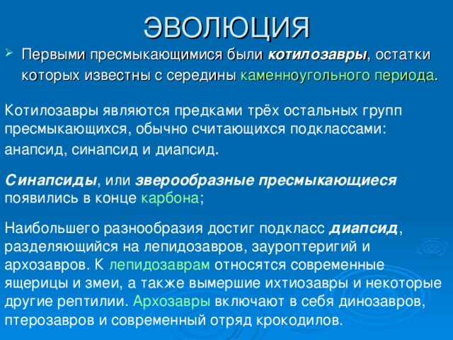 ЭВОЛЮЦИЯ Первыми пресмыкающимися были котилозавры , остатки которых известны с середины каменноугольного периода .  Котилозавры являются предками трёх остальных групп пресмыкающихся, обычно считающихся подклассами: анапсид, синапсид и диапсид .  Синапсиды , или зверообразные пресмыкающиеся появились в конце карбона ; Наибольшего разнообразия достиг подкласс диапсид , разделяющийся на лепидозавров, зауроптеригий и архозавров. К лепидозаврам относятся современные ящерицы и змеи, а также вымершие ихтиозавры и некоторые другие рептилии. Архозавры включают в себя динозавров, птерозавров и современный отряд крокодилов. 