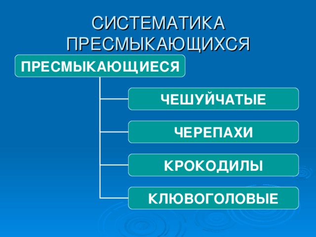 СИСТЕМАТИКА ПРЕСМЫКАЮЩИХСЯ ПРЕСМЫКАЮЩИЕСЯ ЧЕШУЙЧАТЫЕ ЧЕРЕПАХИ КРОКОДИЛЫ КЛЮВОГОЛОВЫЕ 