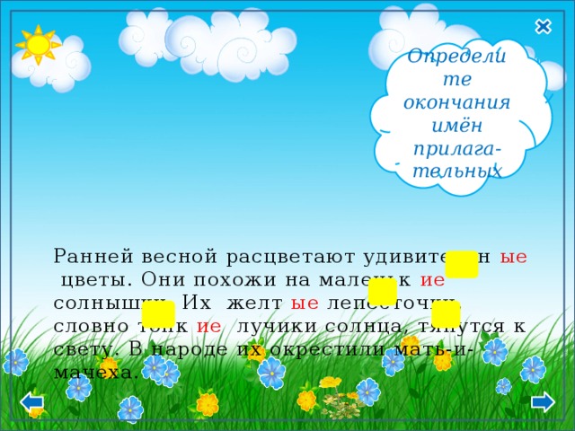  Мн.ч И.п., В.п. -  ые,- ие  Определите окончания имён прилага- тельных Ранней весной расцветают удивительн ые цветы. Они похожи на маленьк ие солнышки. Их желт ые лепесточки, словно тонк ие лучики солнца, тянутся к свету. В народе их окрестили мать-и-мачеха . 