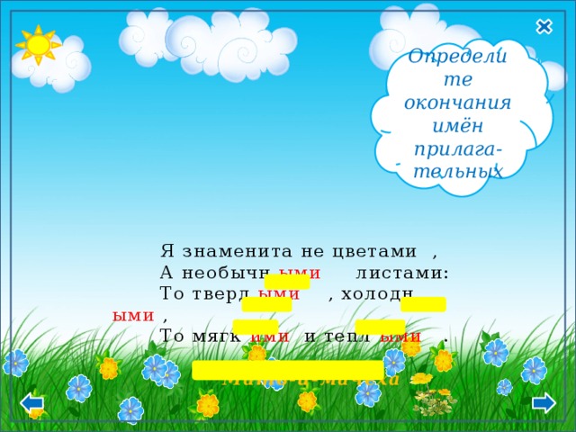  Мн.ч. Т.п. -ыми, - ими Определите окончания имён прилага- тельных  Я знаменита не цветами ,  А необычн ыми листами:  То тверд ыми , холодн ыми ,  То мягк ими и тепл ыми .     Мать-и-мачеха  12 