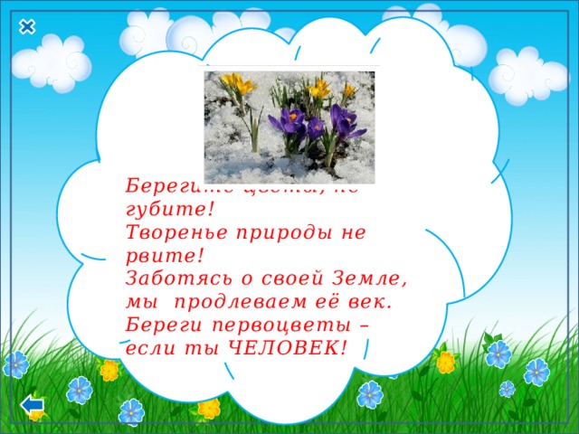 Беречь век. Берегите цветы. Стихотворение берегите цветы. Берегите растения стихи. Детские стихи берегите цветы.