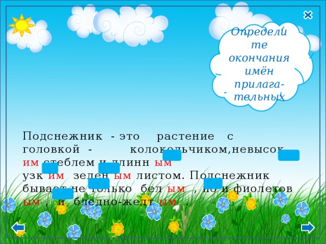 М.р., Ср.р. Т.п. - ым, - им Определите окончания имён прилага- тельных Подснежник - это растение с головкой - колокольчиком,невысок им стеблем и длинн ым  узк им зелен ым листом. Подснежник бывает не только бел ым , но и фиолетов ым , и бледно-желт ым . 