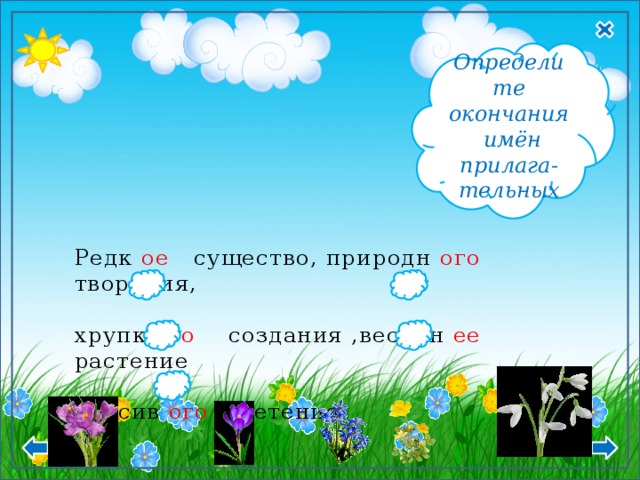  Ср. р.  И.п. -ое , -ее   Р.п. -ого, -его В.п. -ое, -ее Определите окончания имён прилага- тельных Редк ое существо, природн ого творения,   хрупк ого создания ,весенн ее растение   красив ого цветения. 