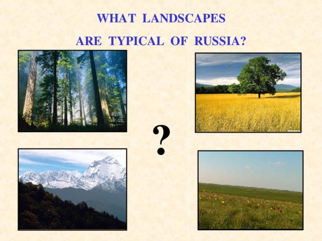 WHAT LANDSCAPES ARE TYPICAL OF RUSSIA? ? 