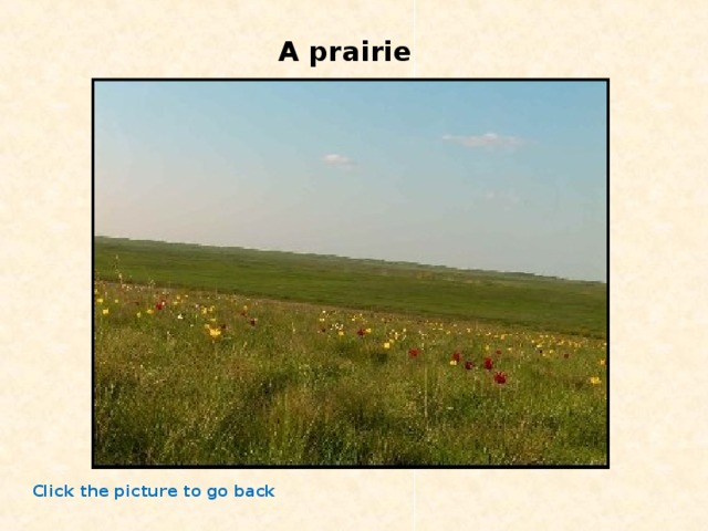 A prairie Click the picture to go back 