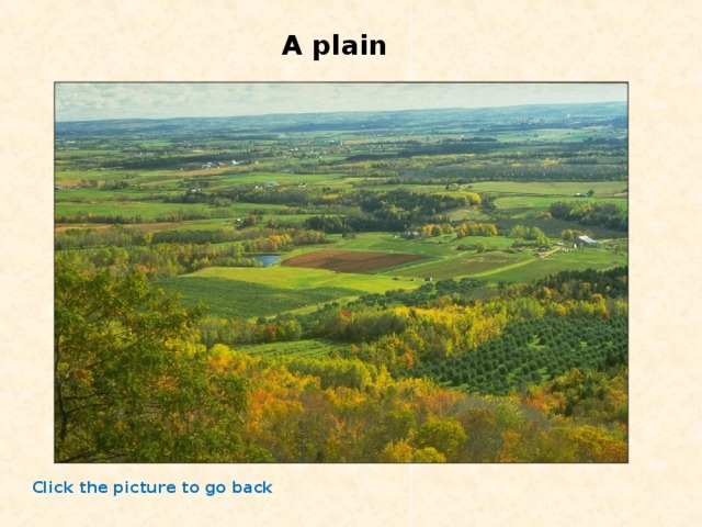 A plain Click the picture to go back 