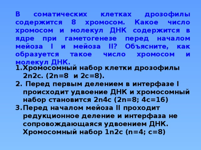 Сколько молекул днк в одной хромосоме. Хромосом и число молекул днк в клетке 1n1c. Сколько молекул днк содержит хромосома. Сколько молекул днк содержит хромосома. Сколько молекул днк содержит хромосома.