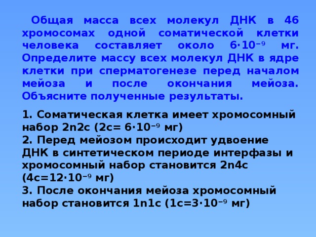 Число молекул днк в анафазе