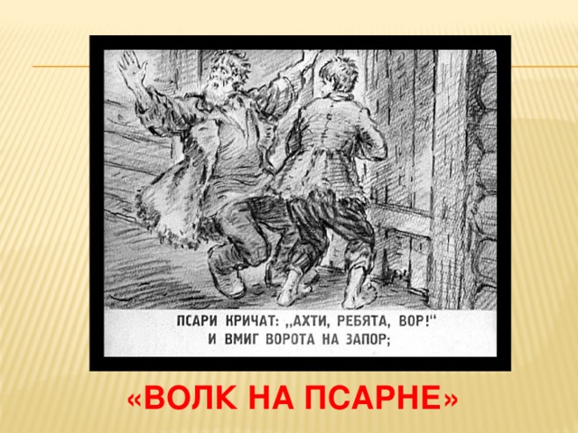 «волк на псарне» 