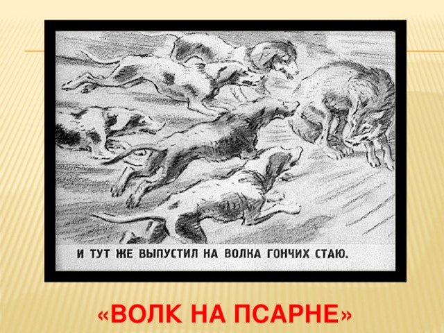 «волк на псарне» 