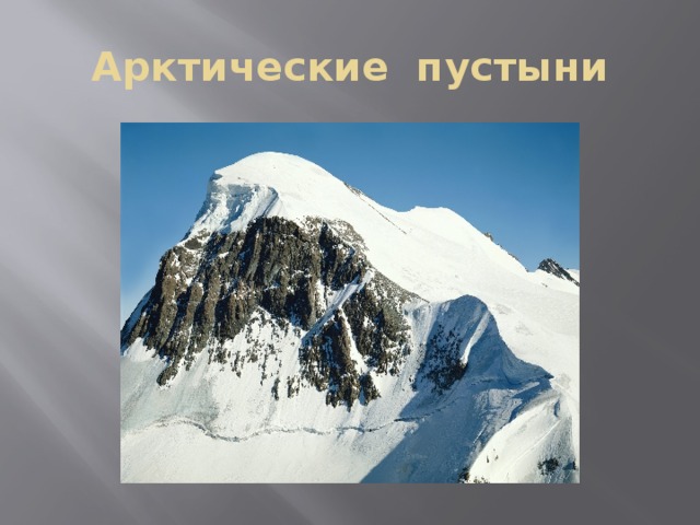 Арктические пустыни 