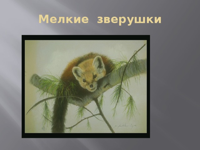 Мелкие зверушки 