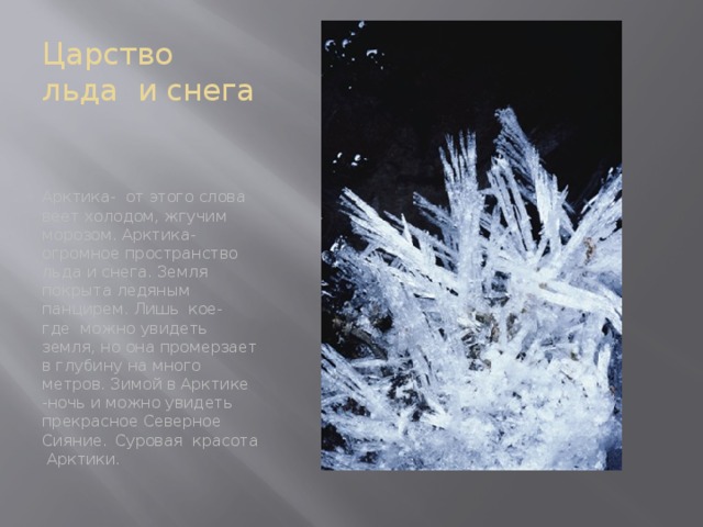 Царство льда и снега Арктика- от этого слова веет холодом, жгучим морозом. Арктика- огромное пространство льда и снега. Земля покрыта ледяным панцирем. Лишь кое- где можно увидеть земля, но она промерзает в глубину на много метров. Зимой в Арктике -ночь и можно увидеть прекрасное Северное Сияние . Суровая красота Арктики. 