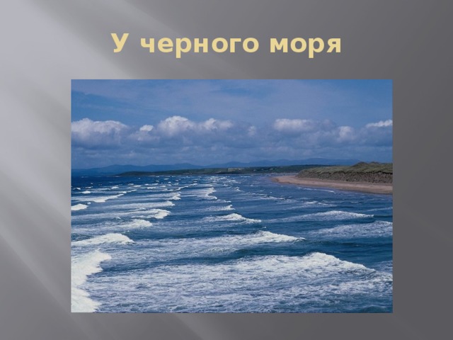У черного моря 