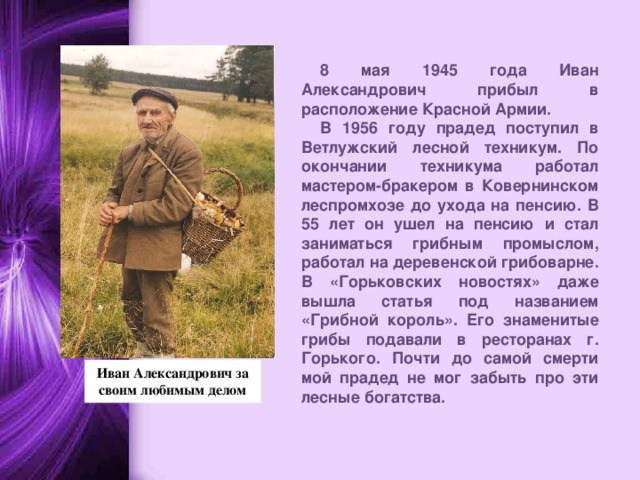 8 мая 1945 года Иван Александрович прибыл в расположение Красной Армии. В 1956 году прадед поступил в Ветлужский лесной техникум. По окончании техникума работал мастером-бракером в Ковернинском леспромхозе до ухода на пенсию. В 55 лет он ушел на пенсию и стал заниматься грибным промыслом, работал на деревенской грибоварне. В «Горьковских новостях» даже вышла статья под названием «Грибной король». Его знаменитые грибы подавали в ресторанах г. Горького. Почти до самой смерти мой прадед не мог забыть про эти лесные богатства. Иван Александрович за своим любимым делом   