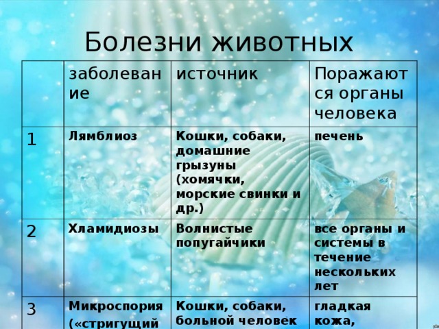 заболевание 1 источник Лямблиоз 2 Поражаются органы человека Кошки, собаки, домашние грызуны (хомячки, морские свинки и др.) Хламидиозы 3 печень Волнистые попугайчики Микроспория («стригущий лишай») все органы и системы в течение нескольких лет Кошки, собаки, больной человек гладкая кожа, волосистая часть головы 
