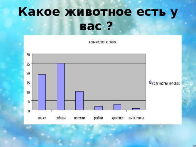 Какое животное есть у вас ? 