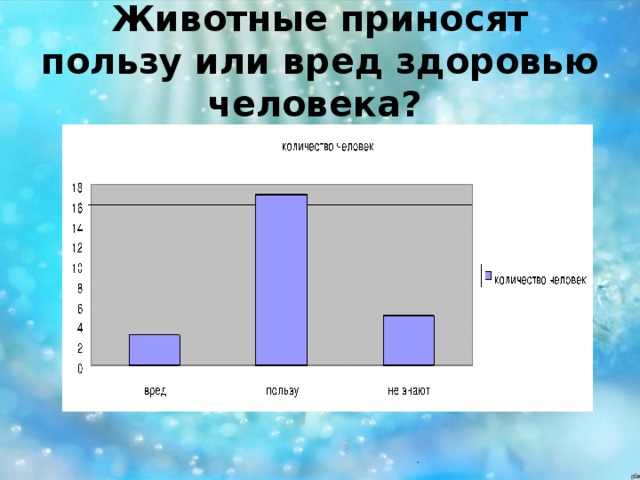 Животные приносят пользу или вред здоровью человека?  