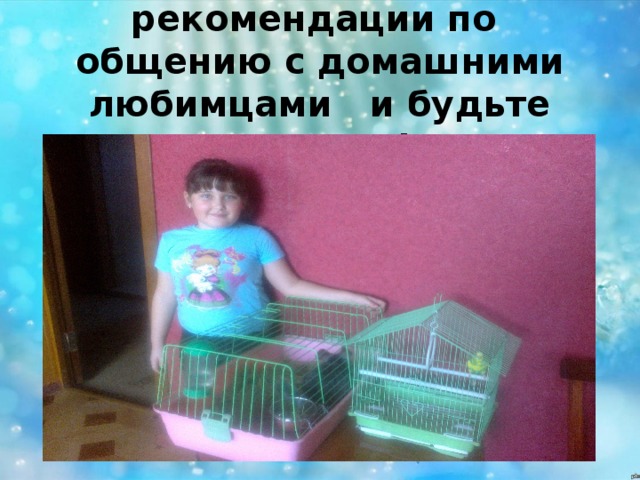 Соблюдайте рекомендации по общению с домашними любимцами и будьте здоровы!  