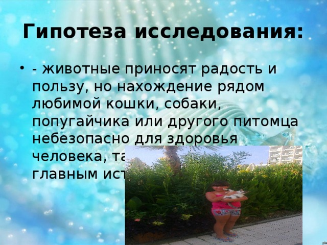 Гипотеза исследования: 