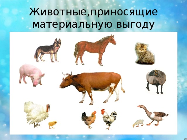 Животные,приносящие материальную выгоду 
