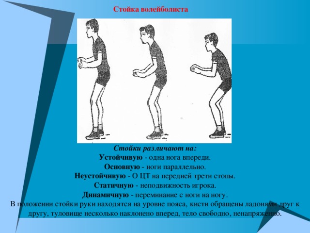 Стойка волейболиста Стойки различают на: Устойчивую - одна нога впереди. Основную - ноги параллельно. Неустойчивую - О ЦТ на передней трети стопы. Статичную - неподвижность игрока. Динамичную - переминание с ноги на ногу. В положении стойки руки находятся на уровне пояса, кисти обращены ладонями друг к другу, туловище несколько наклонено вперед, тело сво­бодно, ненапряженно. 