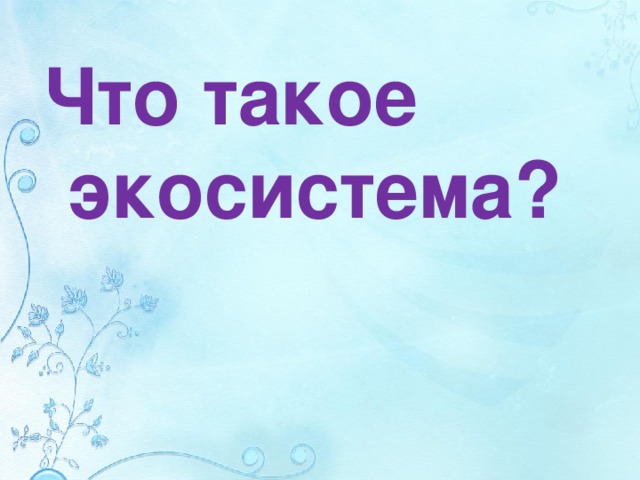 Что такое экосистема?  